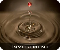 Investment